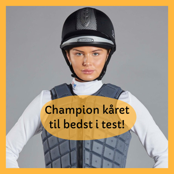 Champion voted best in test!